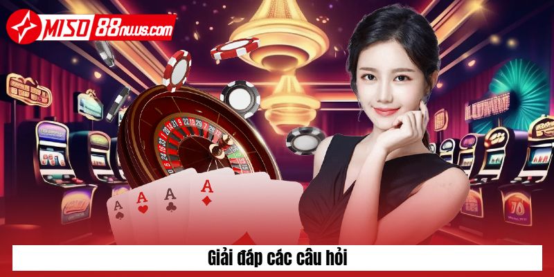 Giải đáp các câu hỏi